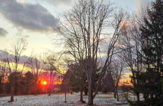 The Little Issues E-newsletter #459 – Life, laughter, and plenty of nice meals!