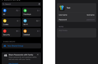 Learn how to use the Apple Passwords app
