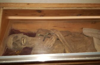 By no means-Earlier than-Seen Anal Embalming Methodology Saved This European Mummy Preserved for Practically 300 Years