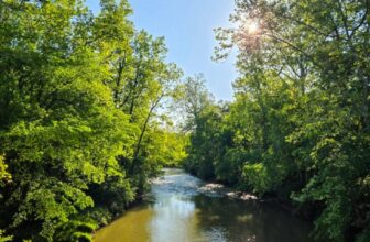 The Little Issues Publication #470 – Life, laughter, and plenty of nice meals!