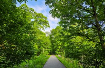 The Little Issues E-newsletter #471 – Life, laughter, and many nice meals!