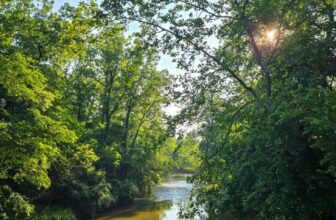 The Little Issues Publication #473 – Life, laughter, and plenty of nice meals!