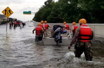 Local weather Disasters Hit the Mind Earlier than Infants Are Even Born, Research Suggests