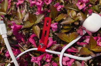 Should you solely purchase one USB-C charger in 2025, make it this one