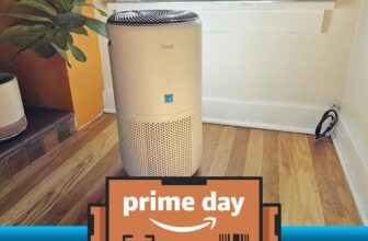 Our favourite good air air purifier is $37 off proper now