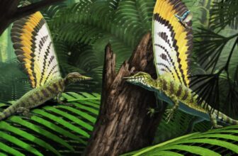 Lovable Triassic Reptile Used its Freaky Again Fin to Talk
