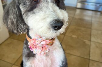 8.1 Friday Faves – The Fitnessista