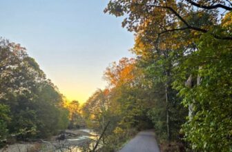 The Little Issues E-newsletter #491 – Life, laughter, and many nice meals!