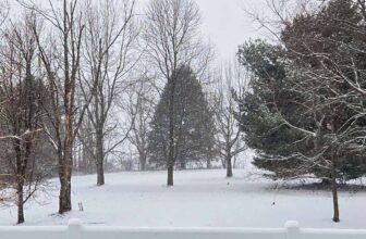 The Little Issues Publication #499 – Life, laughter, and plenty of nice meals!