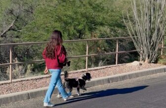 Low-Effort Wellness Habits That Really Make a Distinction