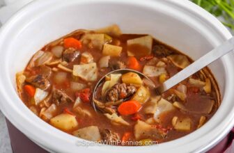 Sluggish Cooker Beef and Cabbage Stew